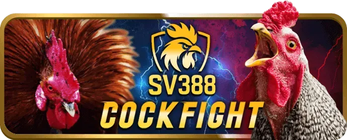 Cá cược có trách nhiệm tại 71 good88